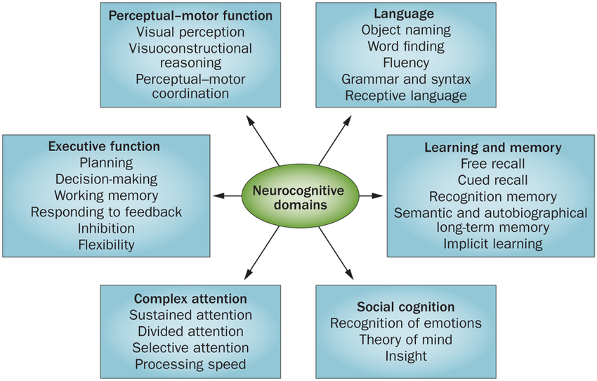 Neurocognitive-domains-The-DSM-5-defines-six-key-domains-of-cognitive